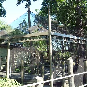 Australian Adventure - Lorikeet Lane Aviary