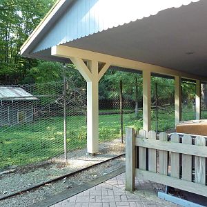 Australian Adventure - Wallaby Walkabout