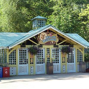 Australian Adventure - Wallaby Walkabout