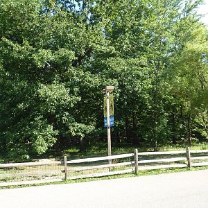 Aldabra Tortoise Exhibit