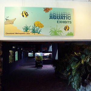 Primate, Cat + Aquatics Building - Entrance