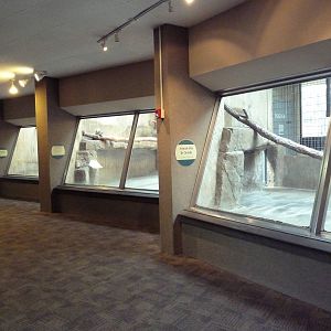 Primate, Cat + Aquatics Building