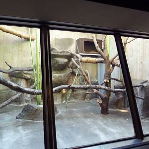 Primate, Cat + Aquatics Building - Clouded Leopard Exhibit