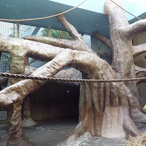 Primate, Cat + Aquatics Building - Hamadryas Baboon Exhibit