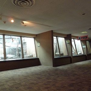 Primate, Cat + Aquatics Building - Black Howler Monkey + Three-Banded Armad