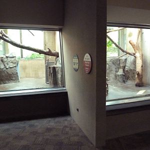 Primate, Cat + Aquatics Building