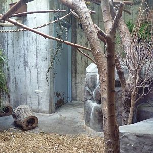 Primate, Cat + Aquatics Building - Reed Titi Monkey/Hairy Armadillo Exhibit