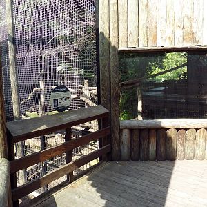 Primate, Cat + Aquatics Building - Snow Leopard Exhibit