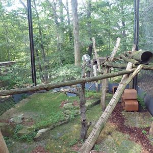 Primate, Cat + Aquatics Building - Red Panda Exhibit
