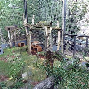 Primate, Cat + Aquatics Building - Red Panda Exhibit