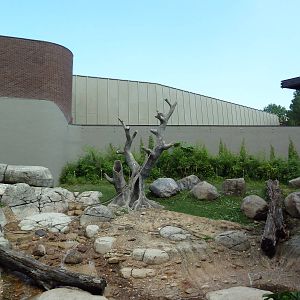 Primate, Cat + Aquatics Building - Gorilla Exhibit