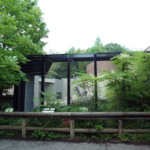 Primate, Cat + Aquatics Building - Gorilla Exhibit