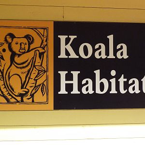 Australian Adventure - Koala Exhibit Sign
