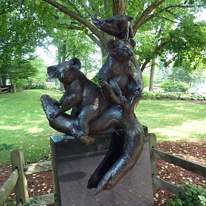 Australian Adventure - Koala Statue