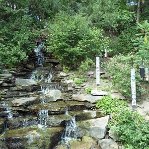 Free Flight Falls - Wild Bird Area