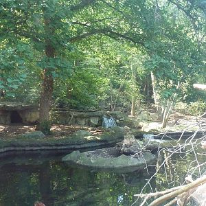 Northern Trek -Wolf Wilderness - Wolf/Beaver Exhibit