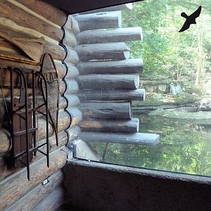 Northern Trek -Wolf Wilderness Lodge