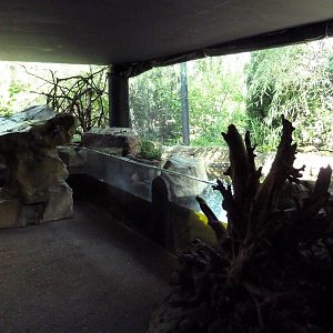 Northern Trek -Wolf Wilderness - Turtle/Fish + Bald Eagle Exhibits