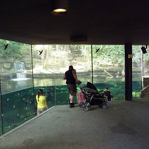 Northern Trek - Wolf Wilderness - Wolf/Beaver Exhibit
