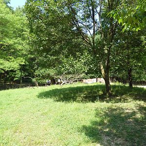Northern Trek - Caribou Exhibit
