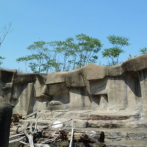 Northern Trek - Grizzly Bear Exhibit