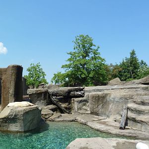 Northern Trek - Polar Bear Exhibit