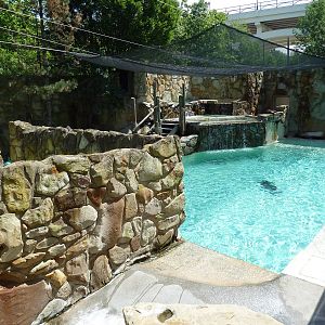 Northern Trek - Harbour Seal/California Sea Lion Exhibit