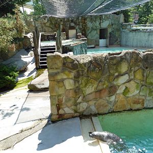 Northern Trek - Harbour Seal/California Sea Lion Exhibit