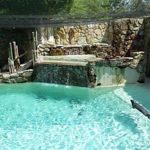 Northern Trek - Harbour Seal/California Sea Lion Exhibit