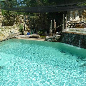 Northern Trek - Harbour Seal/California Sea Lion Exhibit