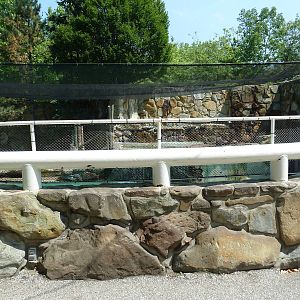 Northern Trek - California Sea Lion/Harbour Seal Exhibit