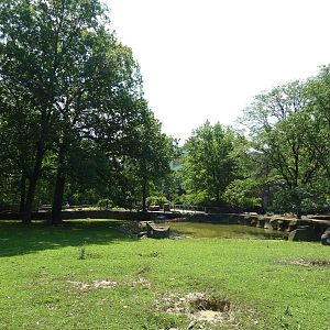 Northern Trek - White Lipped Deer Exhibit