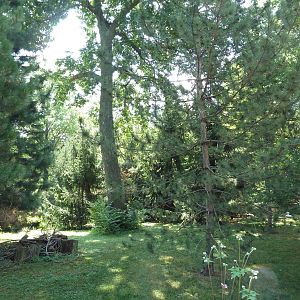 Northern Trek - Tufted Deer/Red-Crowned Crane Exhibit
