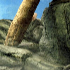 Small Mammal House-Chinchilla