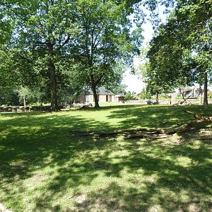 Northern Trek - White Lipped Deer Exhibit