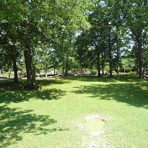 Northern Trek - White Lipped Deer Exhibit
