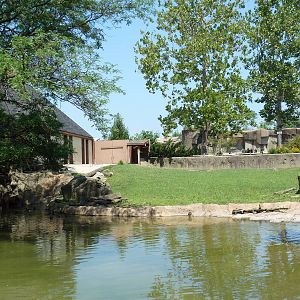 Northern Trek - White Lipped Deer Exhibit