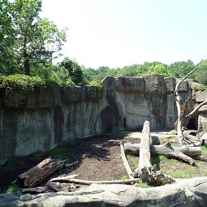Northern Trek - Sloth Bear Exhibit