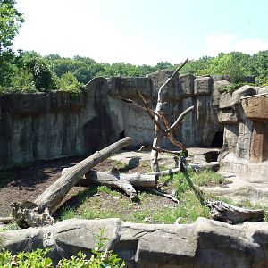 Northern Trek - Sloth Bear Exhibit