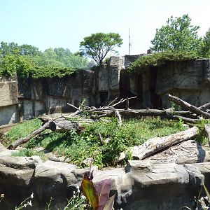 Northern Trek - Spectacled Bear Exhibit
