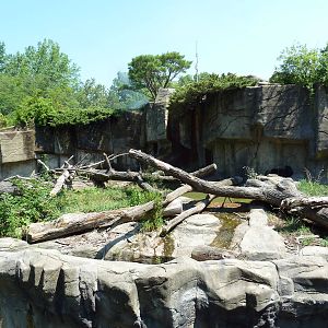 Northern Trek - Spectacled Bear Exhibit
