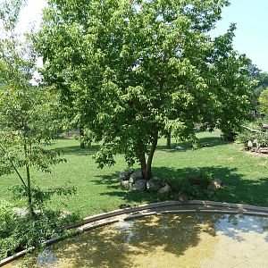 African Savanna - Mixed-Species Exhibit