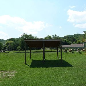 African Savanna - Mixed-Species Exhibit