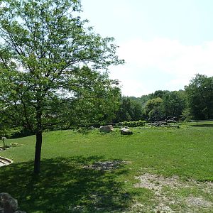 African Savanna - Mixed-Species Exhibit