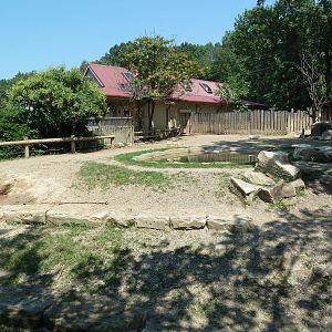 African Savanna - Black Rhino Exhibit