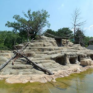 Historic Monkey Mountain - Colobus Monkey/Klipspringer/Rock Hyrax Exhibit