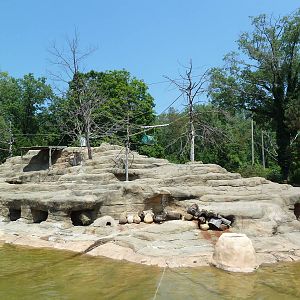 Historic Monkey Mountain - Colobus Monkey/Klipspringer/Rock Hyrax Exhibit