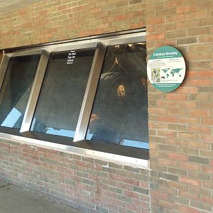 Historic Monkey Mountain - Colobus Monkey Indoor Exhibit