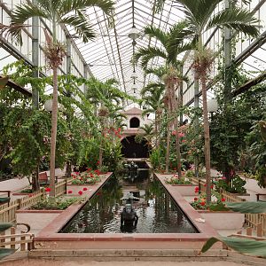 Koi Pool - Closing Day - 05/09/2010