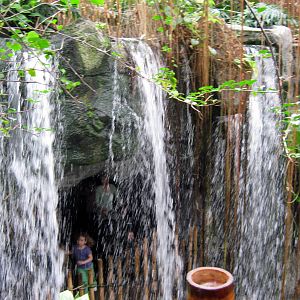 Lied Jungle-Waterfall